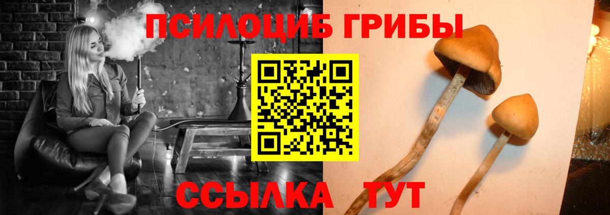 Шебекино  продажа наркотиков  Вход с VPN  Псилоцибиновые грибы мухоморы 